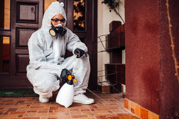 Reliable Ant Control contractor in Sunnyside, GA by Show Me Pest Control